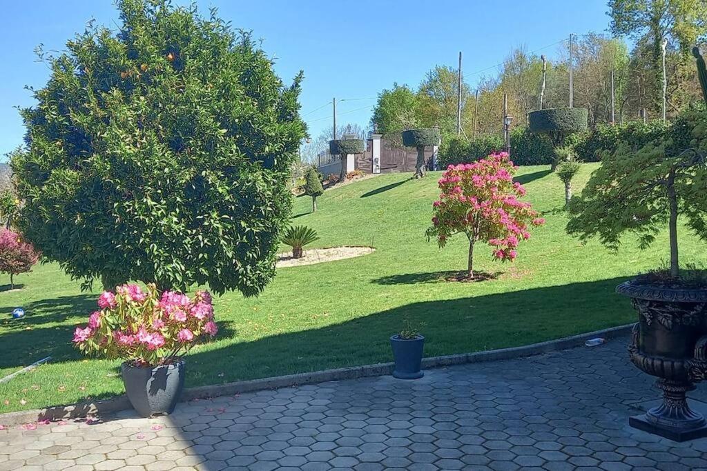 Sonho Verde Ribeira de Pena Exterior foto