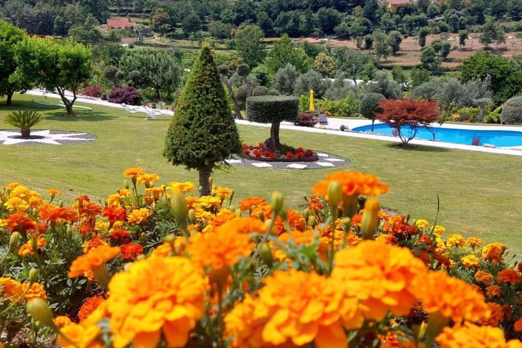 Sonho Verde Ribeira de Pena Exterior foto